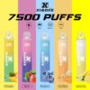 【XIAOKE 梟客】🪄拋棄式🍬 一次性霧化商品 7500口 (可充電)