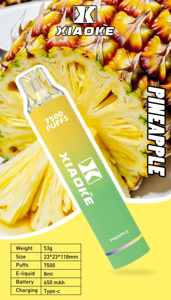 【XIAOKE 梟客】🪄拋棄式🍬 一次性霧化商品 7500口 (可充電)